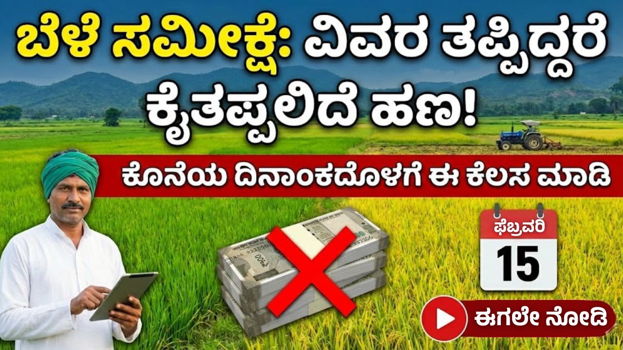 crop insurance information