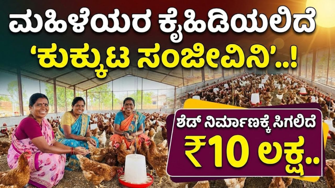 kukkuta Sanjeevini Scheme