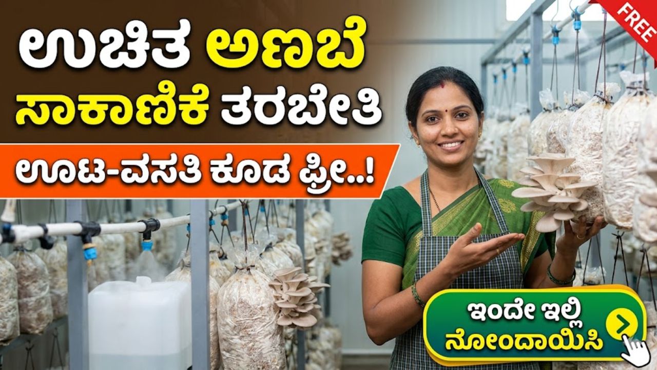 Free mushroom farming training